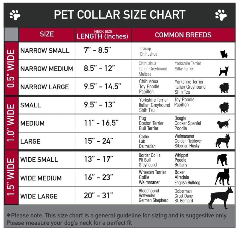 Buckle-Down Peanut Butter & Jelly Dog Collar Small 13-18